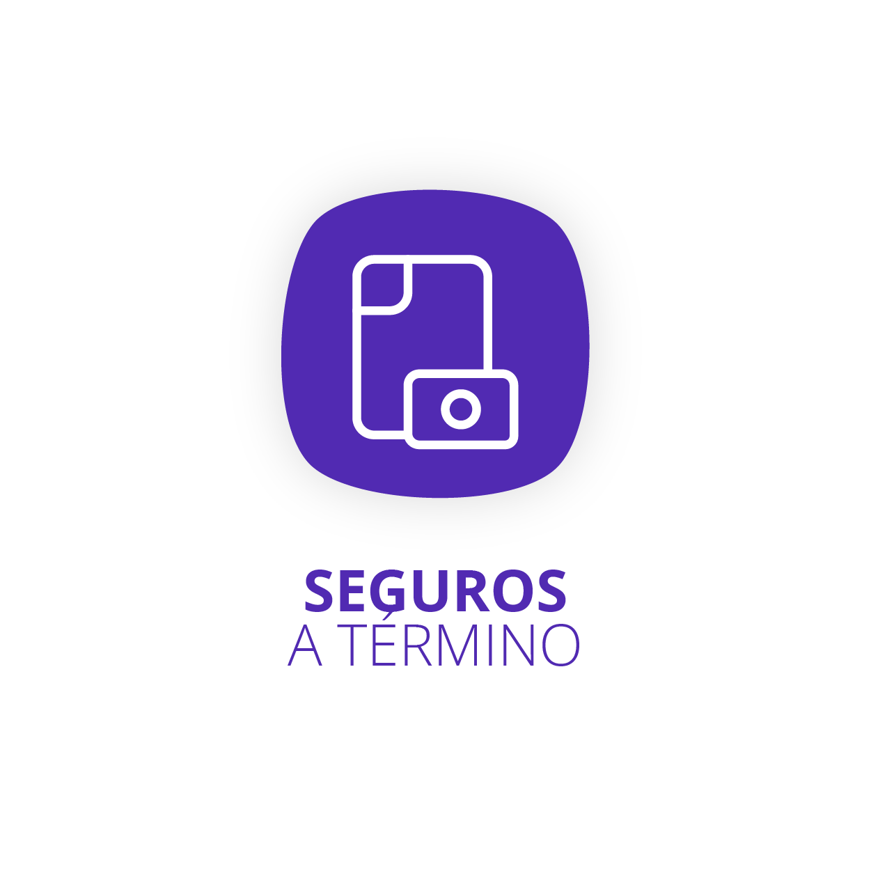 Seguros a Término